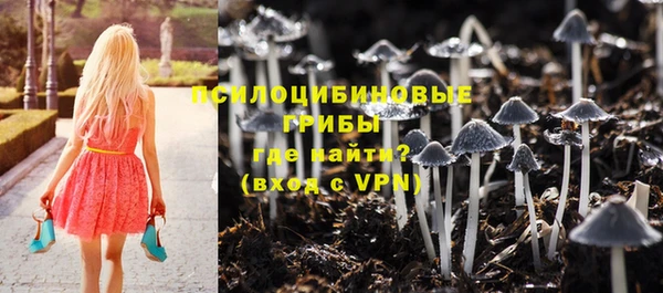 spice Покровск
